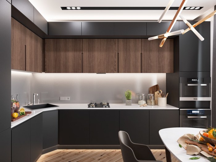 Minimalist kitchens